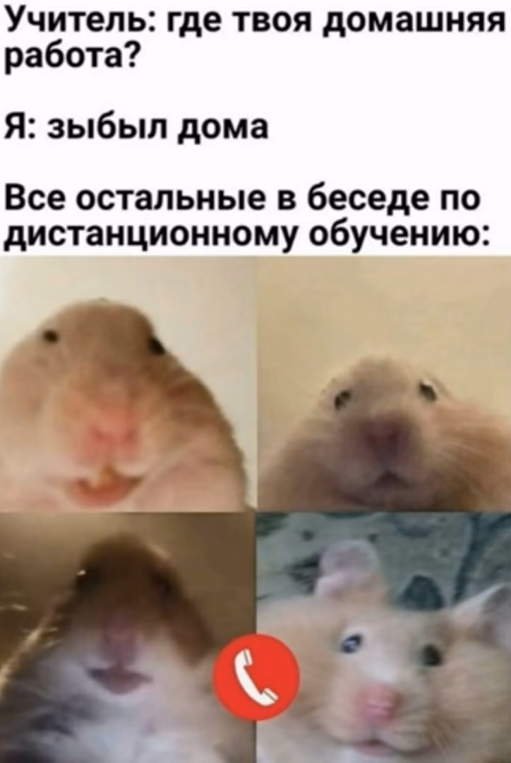 be3d66e80b3863a1df055481d68bc482.jpg
