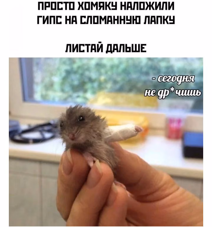 be4caa3ddcc40884b245d69b6a6323a0.jpg