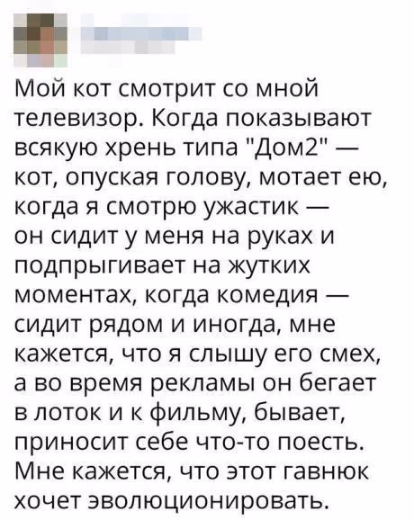 be4e9f4043ce618a86b0217dda3c1b04.avif