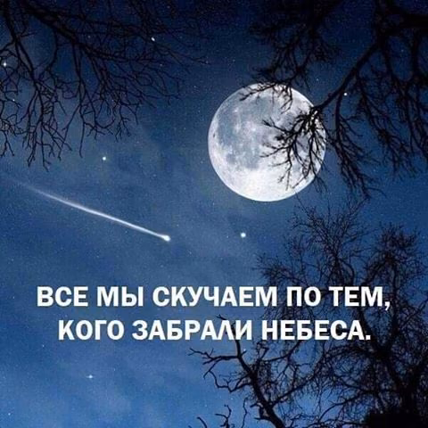 be5853db238632962c10a95d338706a1.jpg