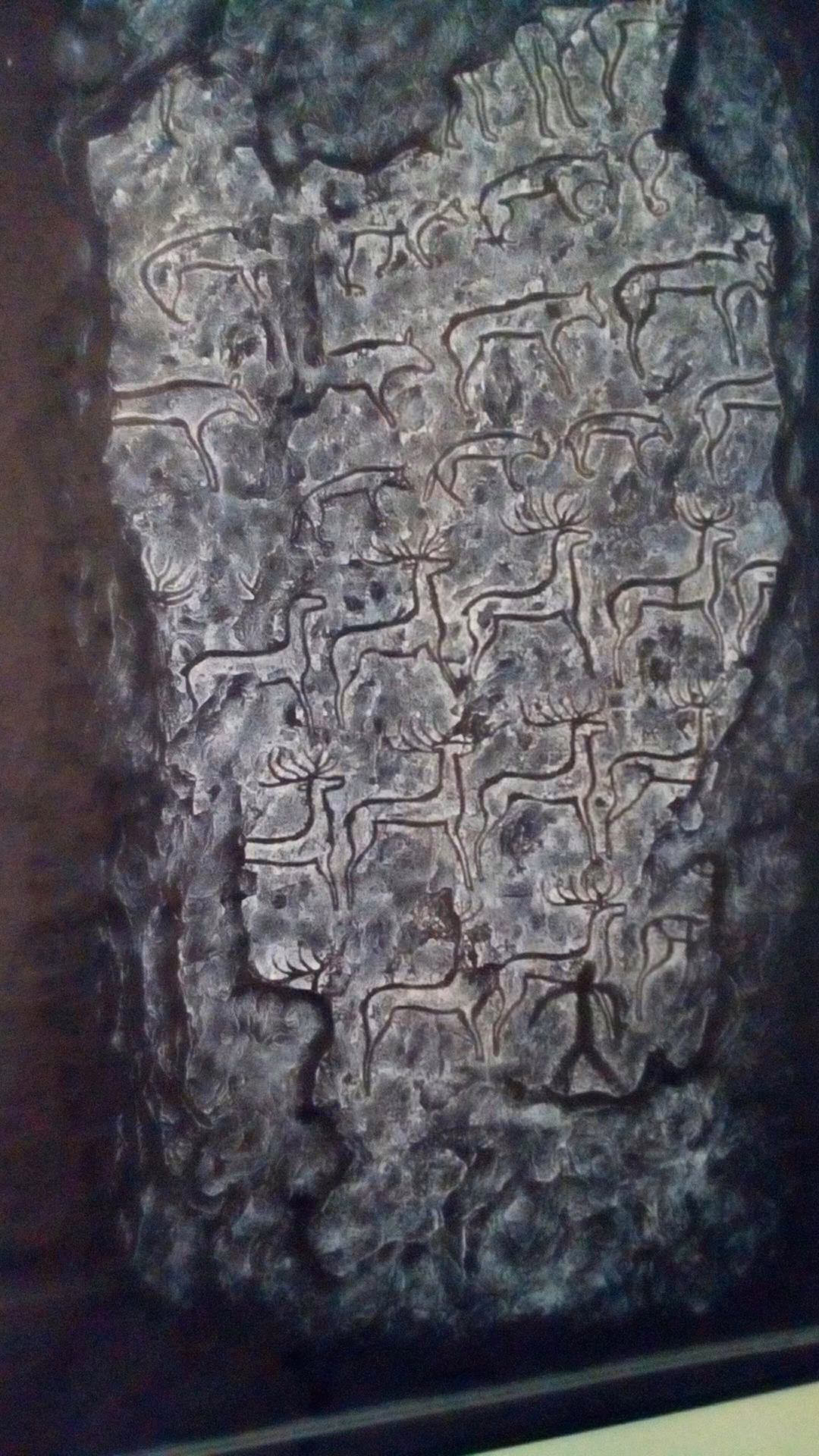 be69a286068551470239491647beb3af.jpg