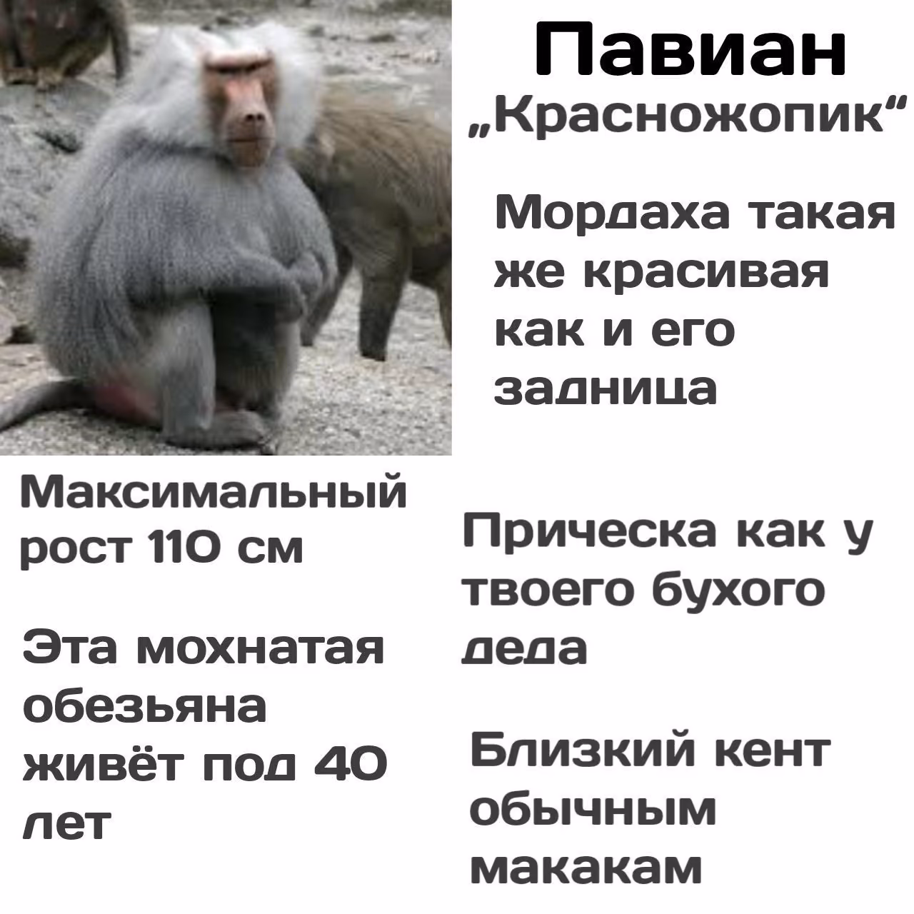 be7d6a3573a46c28d36054e0696ae454.jpg