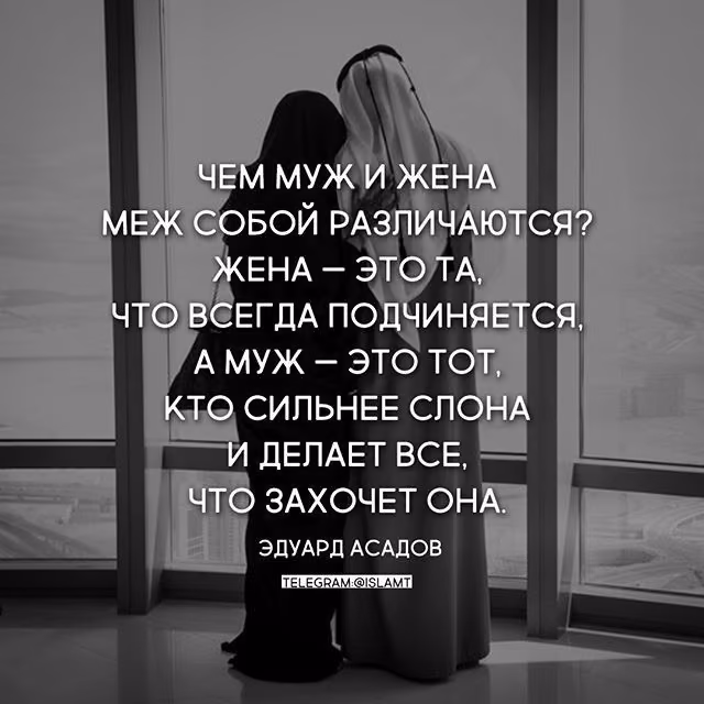 beaaafc6d2aa9407f6da92b12a2995f8.avif