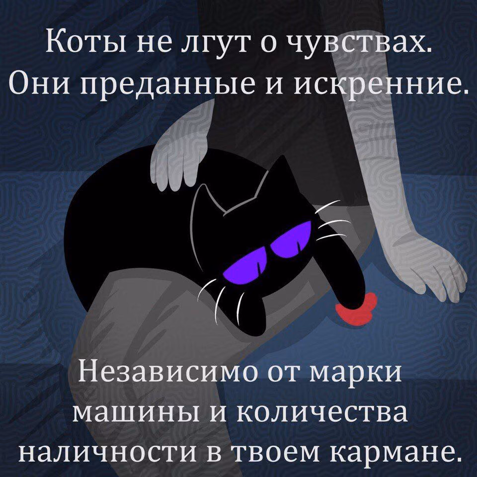beb4726c4800102879962037dfeb33ee.jpg