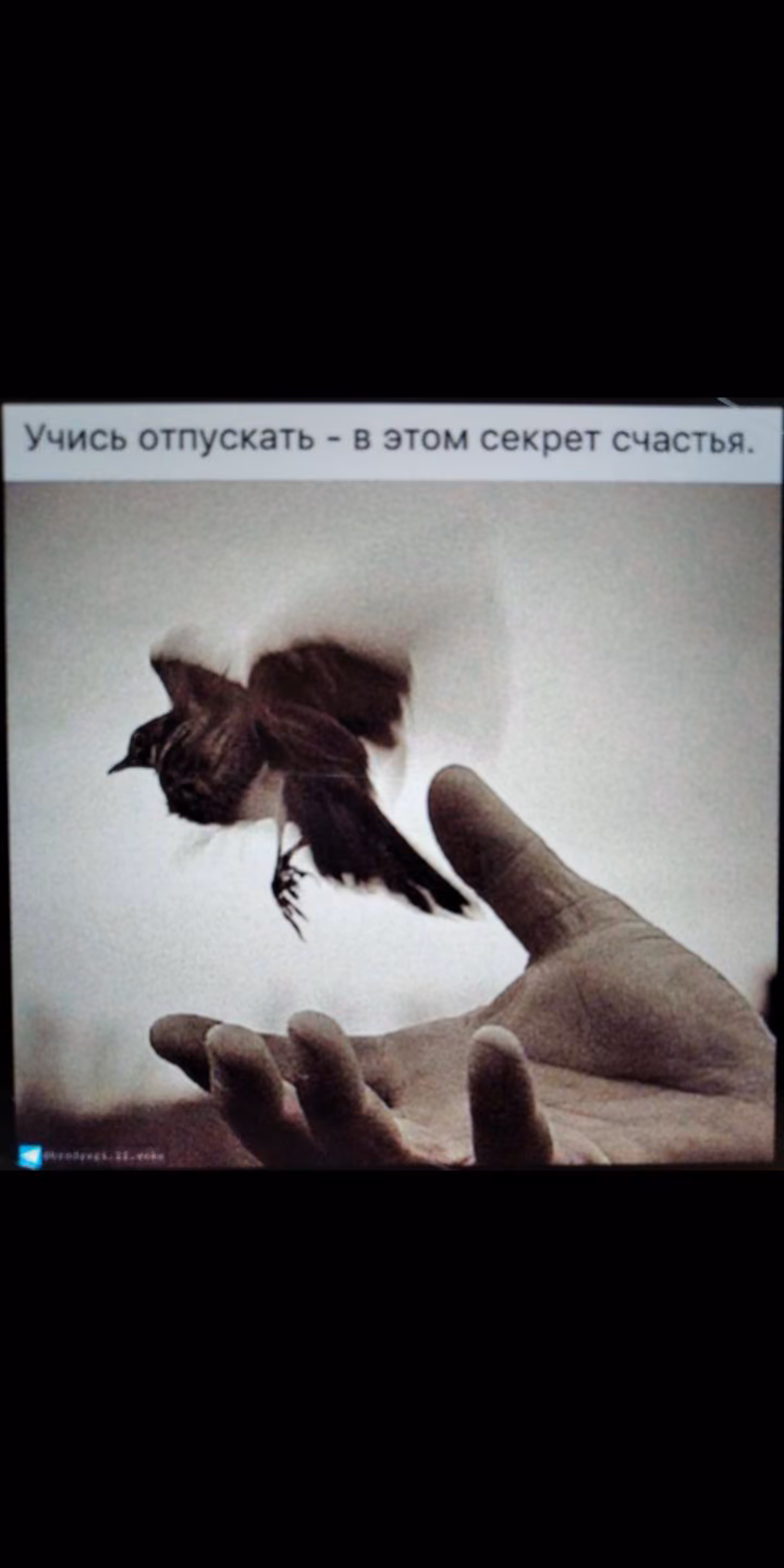 bebbe50b8137f76ffb2415948f14c7c5.jpg