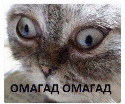 bed0f5566c151cd785c4106b8e4c3e35.avif