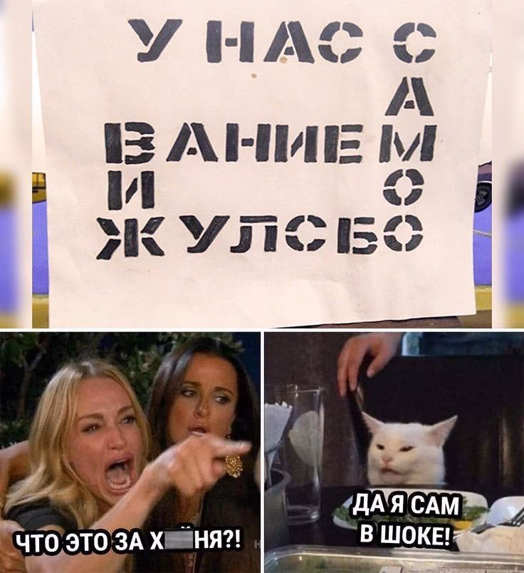 beddaebca9b2c2476320e2d2d972dbc4.avif