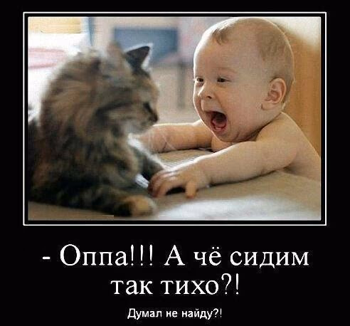 bedfa23eb7fc3e05d658648cabc5b211.jpg