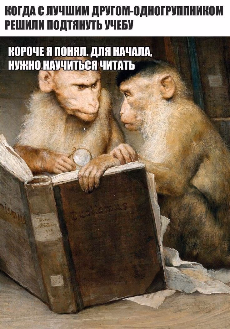 bef7655b064541d0c7247fc282201902.avif