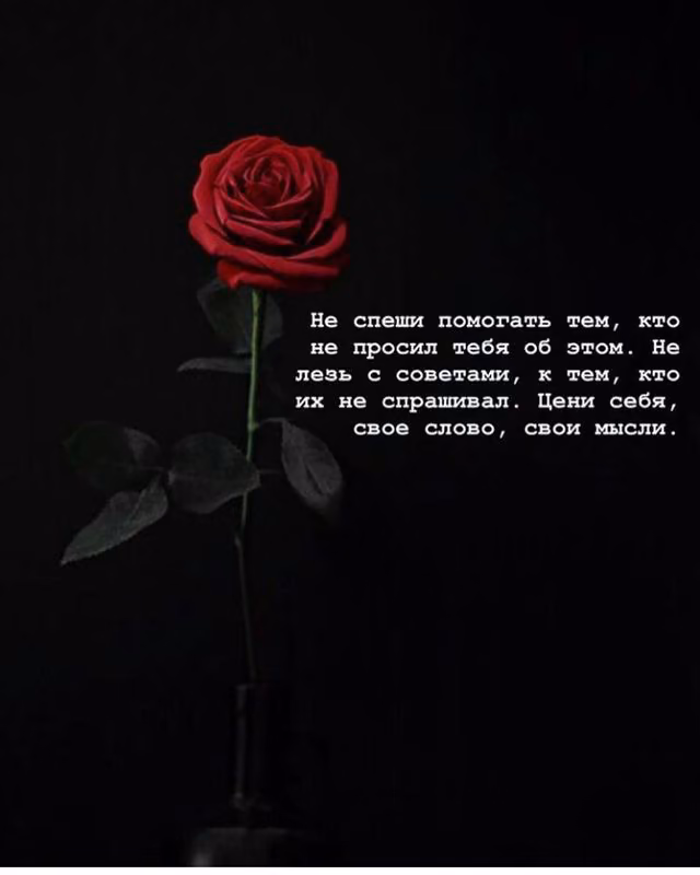bf05f24d68cd4899648b9c91c778d7d9.jpg