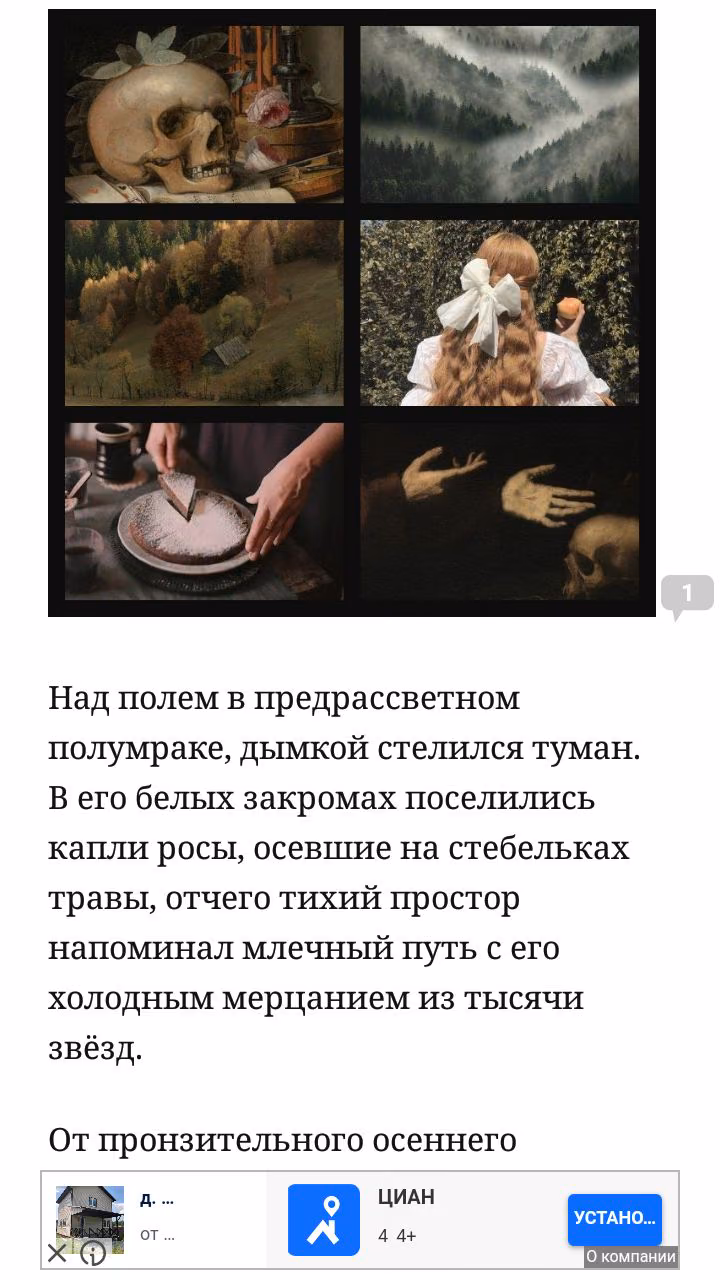 bf0fe39bc02952df5435b20c141486cc.jpg