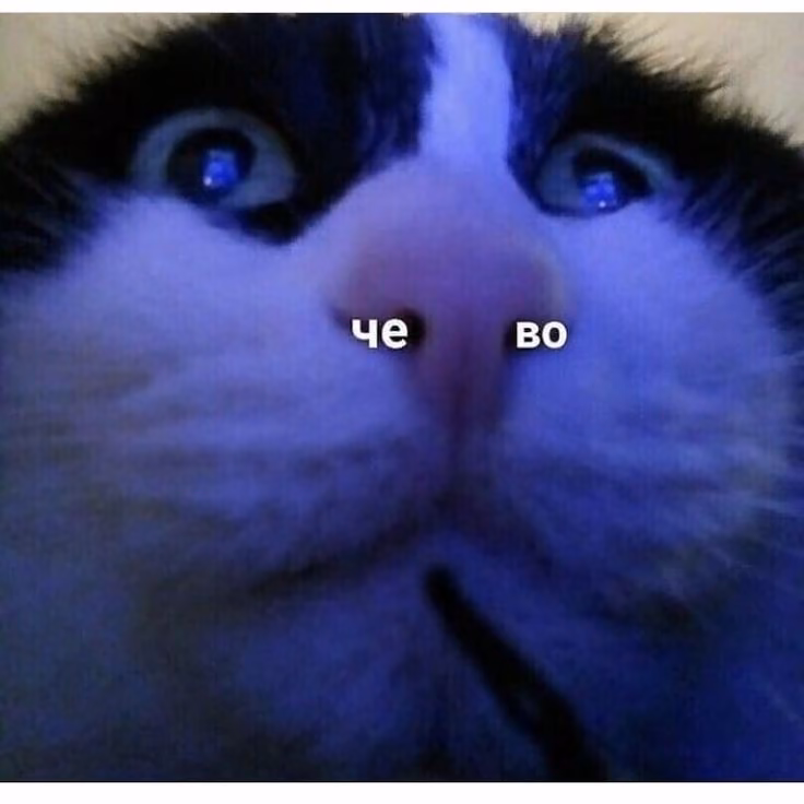 bf247e7ec2c6b06fb09525b6c52cbf82.avif