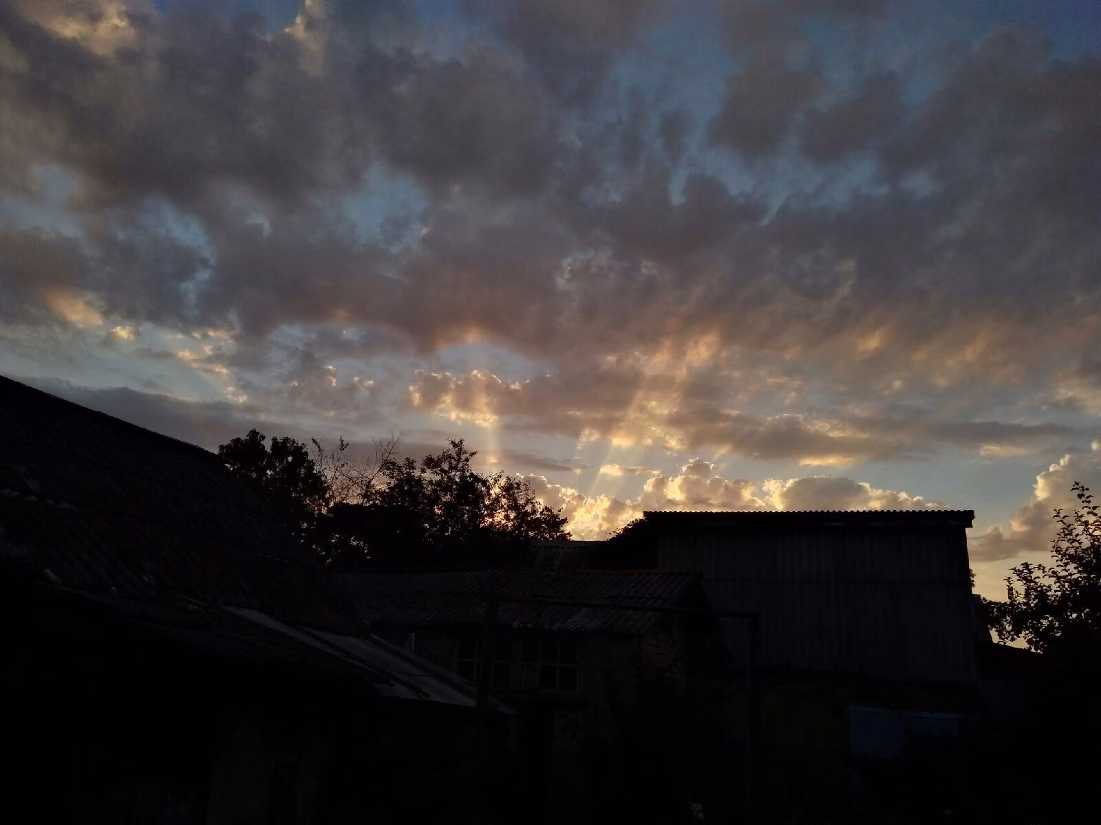bf389357eefb20706a760cbc62099bb3.jpg