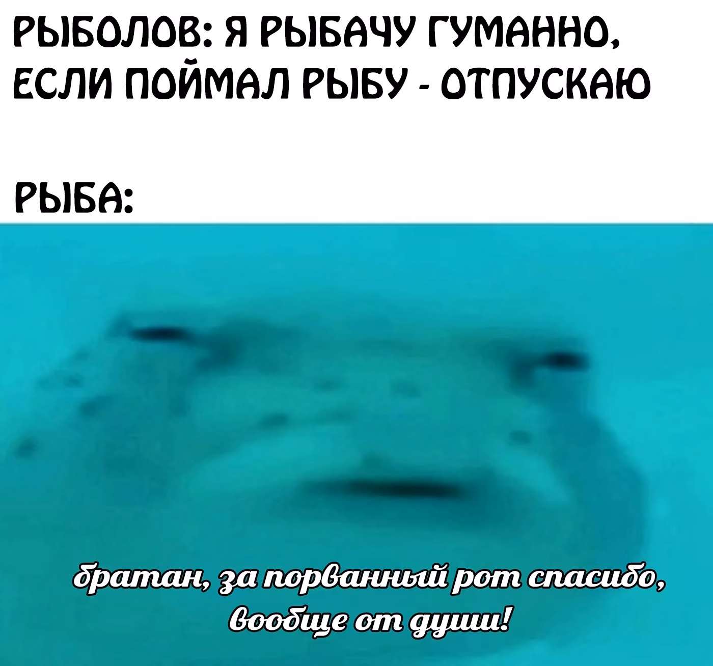 bf54724cdf4acd26e4813b9a8111a38e.jpg