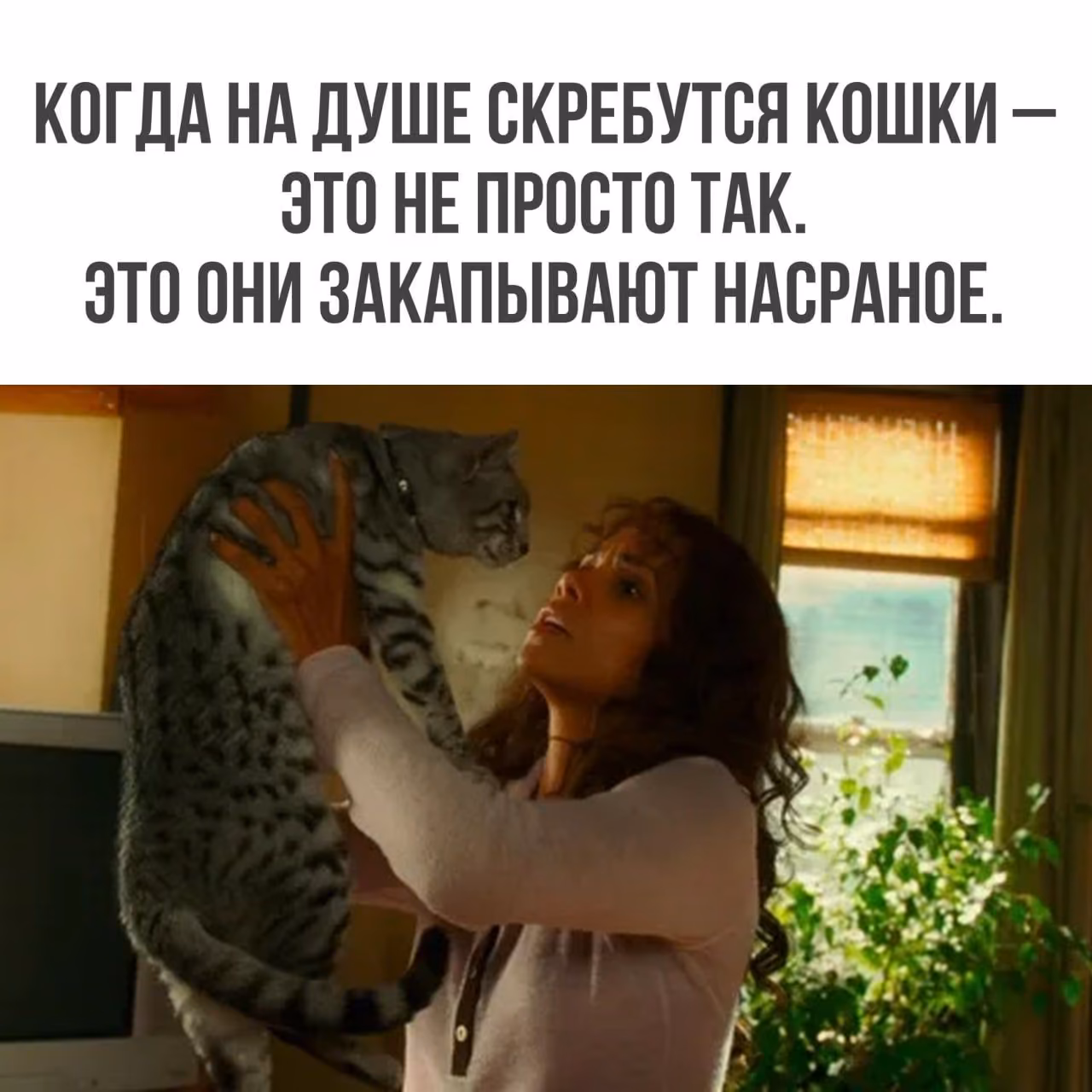 bf54aac202b251580ce88c700d609233.jpg