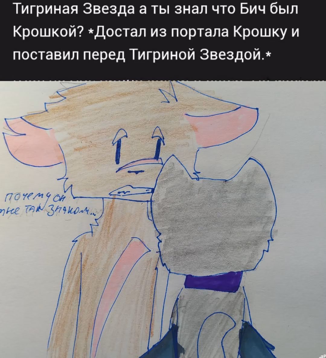 bf6e5cf53e811ce1bf3335874ecbc7e5.avif