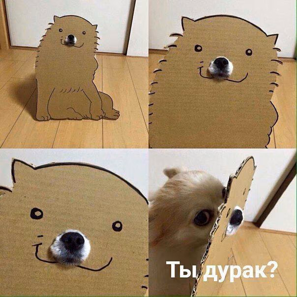 bf9ae3d4d968d34d3790e0a2960b34a3.jpg