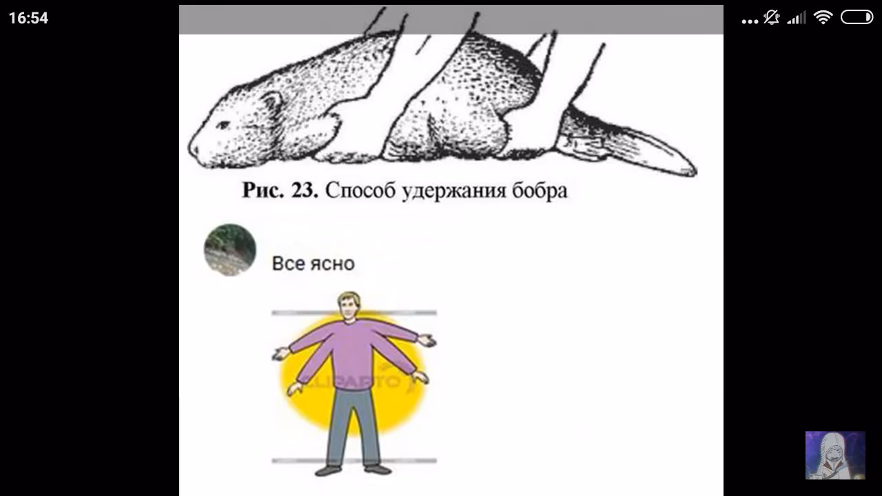bfa63255cb799c2c456c1ada6dba287f.jpg