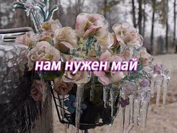 bfb54df4840bc997cbd348cf0cfa2a5f.jpg