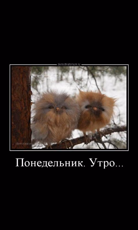 bfd9df314639455a72d1a1d4929a6f14.avif