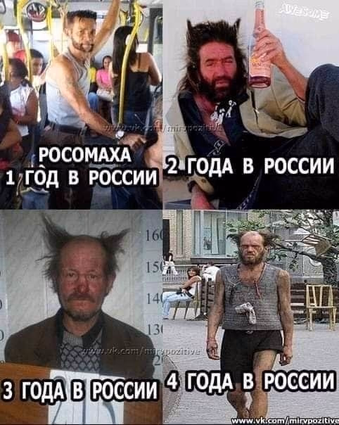 bff4eae831f1c75e80bb91aafeaf44f4.jpg