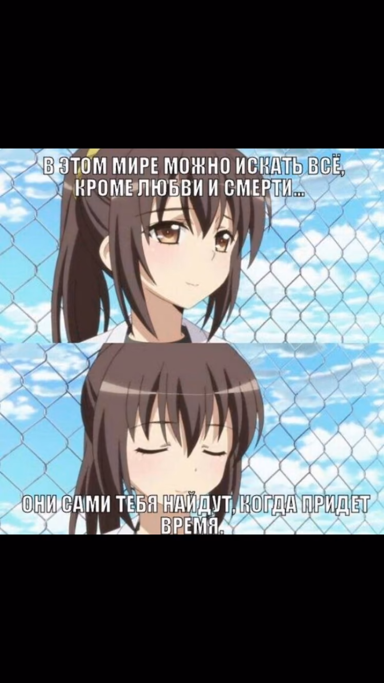 c000be5f9281a239180320a7fc28d49a.jpg
