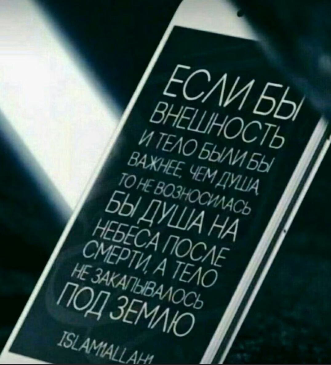 c00882792f95653b84e6075b73448df8.jpg