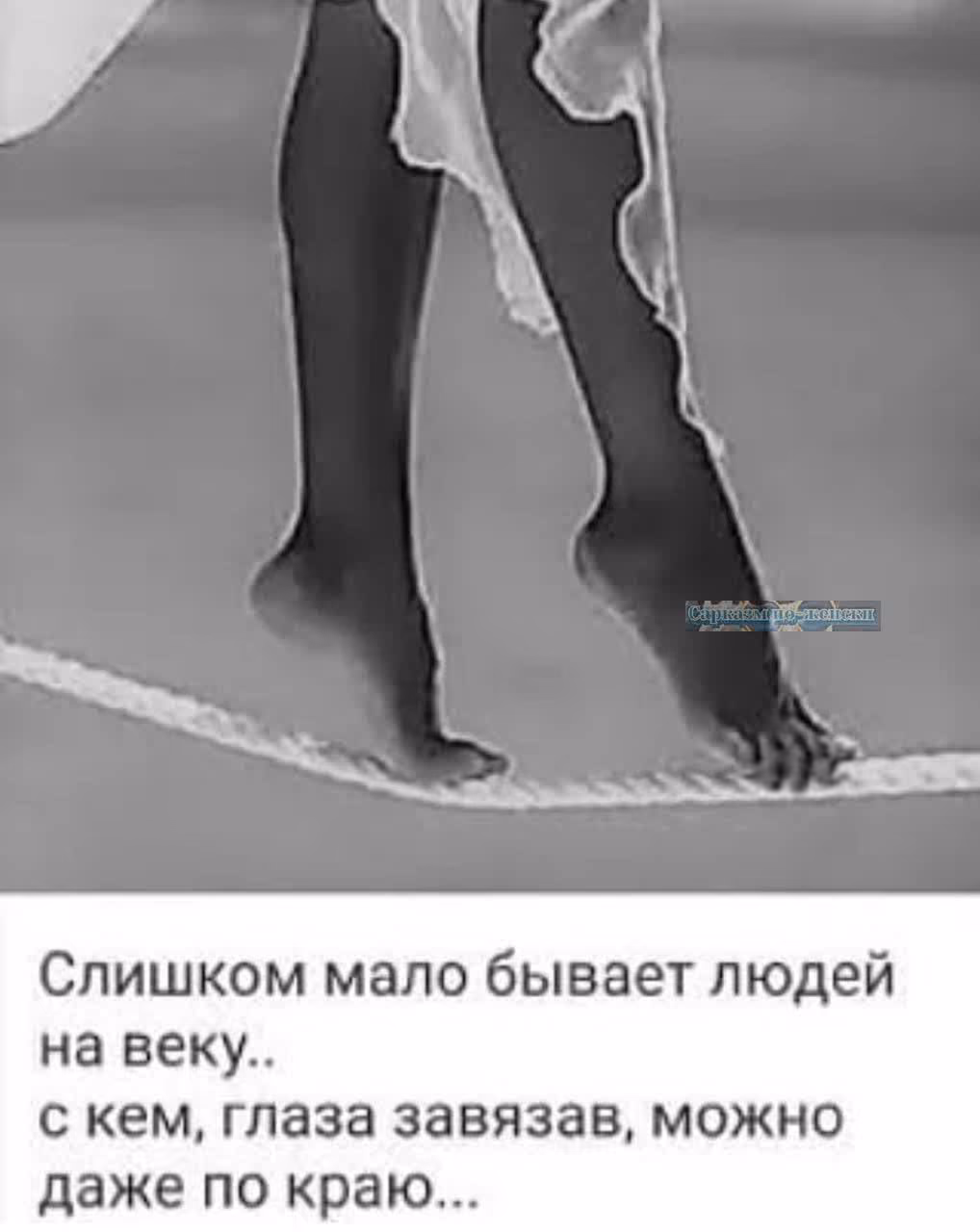 c009d8805958901fe02a8f07fd209e83.avif