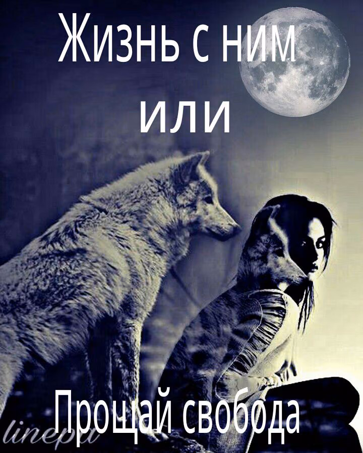 c022ccdf8ff892787c49c6bebcb4c162.avif