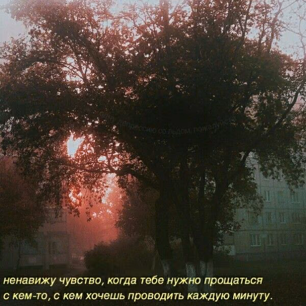 c032b32bdafb6b4abc2cd029fc14d1f0.jpg
