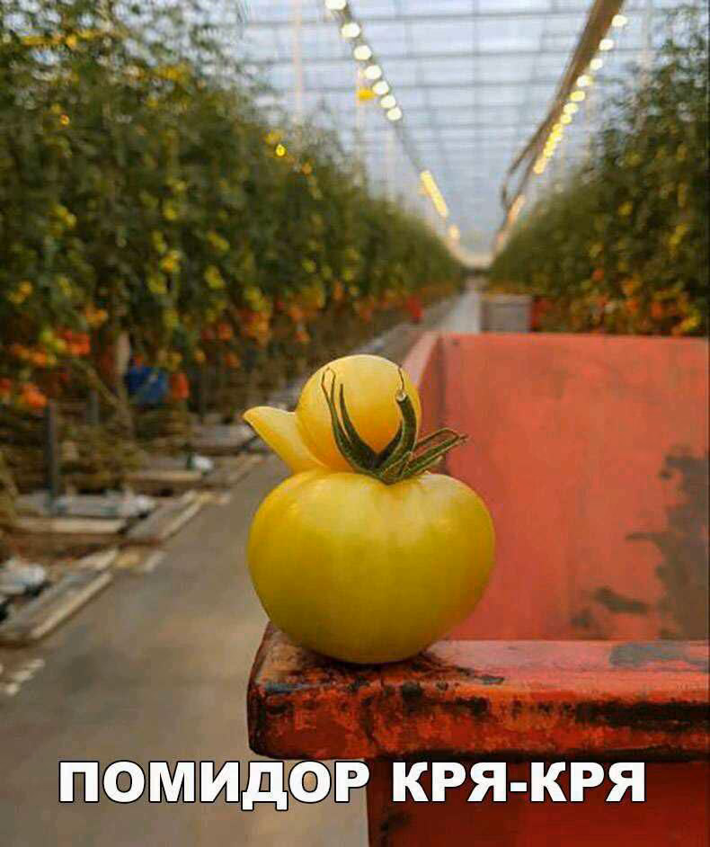 c036b3e7913caa18ccfbc59bd5d42a73.avif