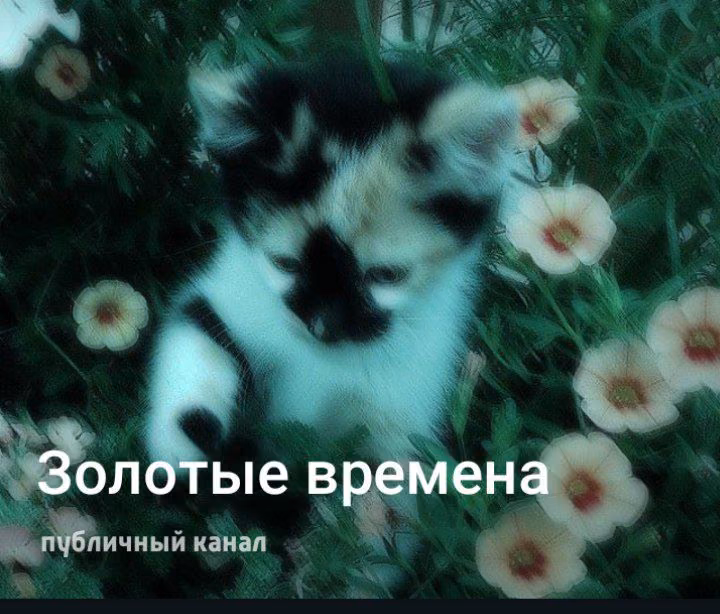 c03a5ceaa7deeaf1b515b14d23f43202.jpg