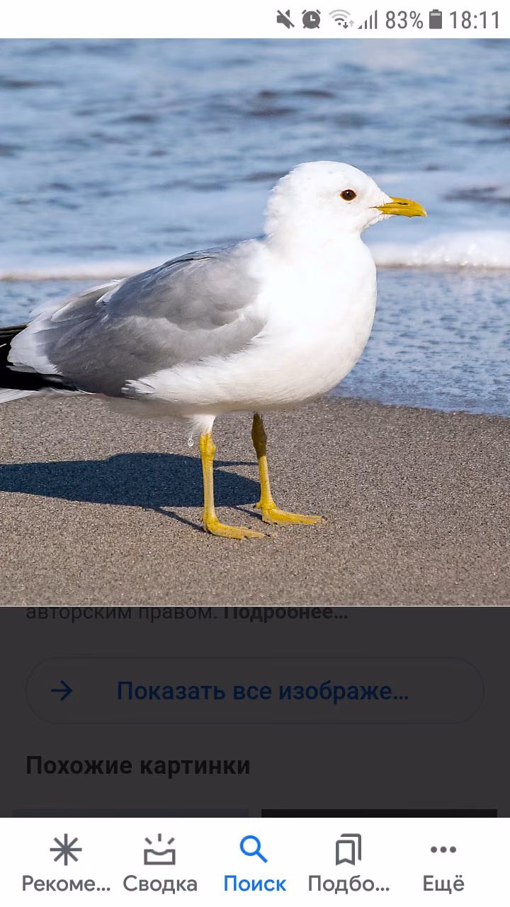 c03db16cac5b37f5cac6bb2243ff692b.avif