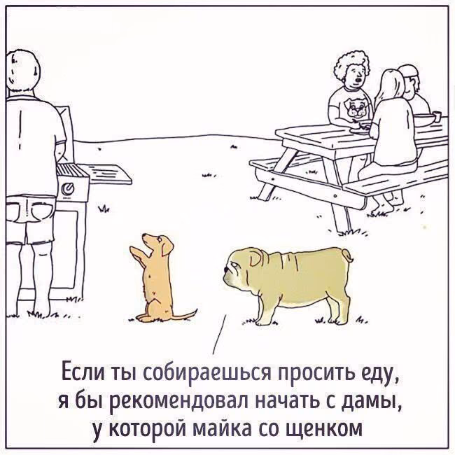 c03edbffb7baffb3313d015abecc30c0.jpg