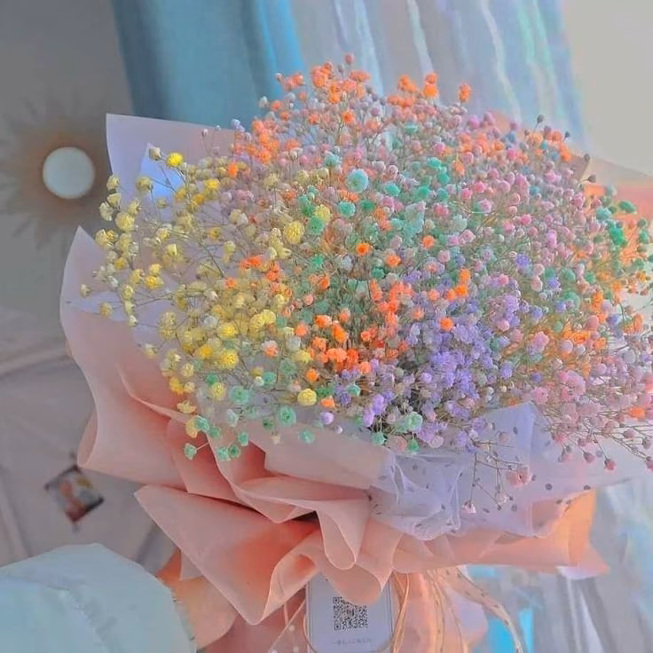 c067405caca5a96943c2db7ec58fc5de.jpg