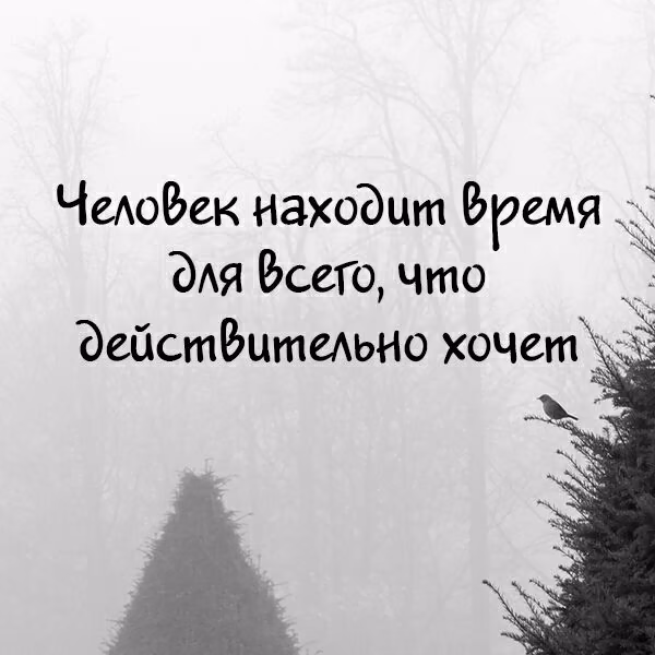 c07ad16d4b1bb72642a9cc7a0a9bc627.jpg