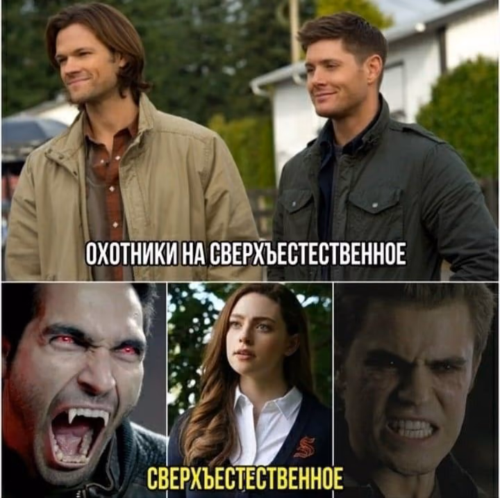 c080f6c3a01c84fd5551e99fcdf8170f.avif