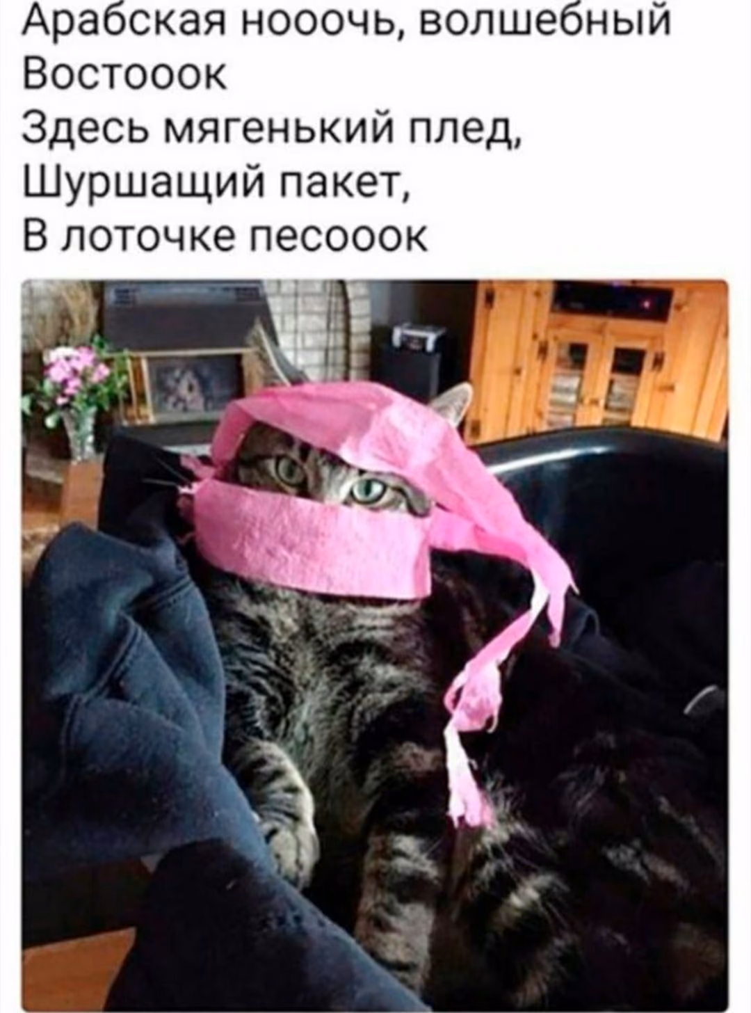 c097a993625fc8a8f1610cf3137a2096.jpg