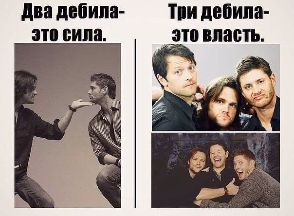 c0a47a99555c18cdcd0d15d2bd94e3b0.avif