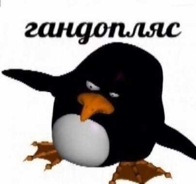 c0a4cf9bb7226a9860dc4f77bbb73d4c.jpg