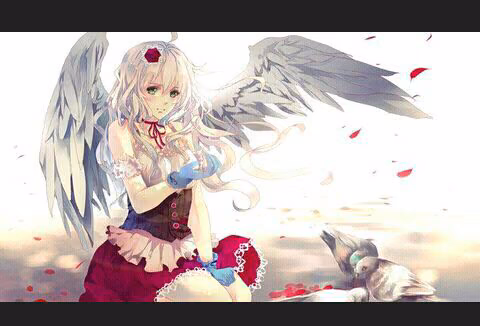 c0a60f2ab1bc50acaecfdf72df992be1.avif