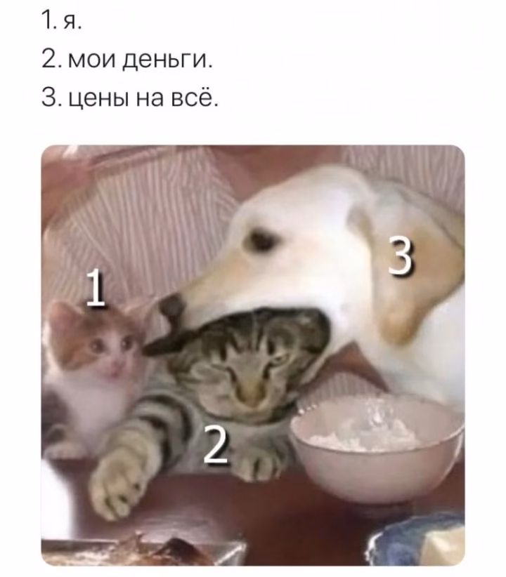 c0b7cc4e172622c1e932c5ea78c4f3a7.jpg