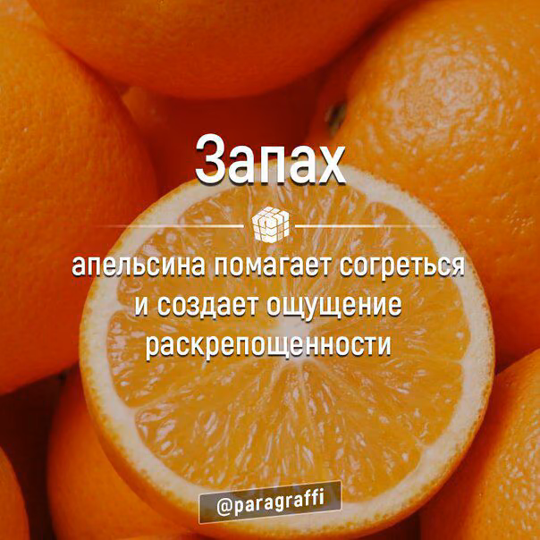 c0b8eddb5c1aa51c93660ac7ecf76d74.avif