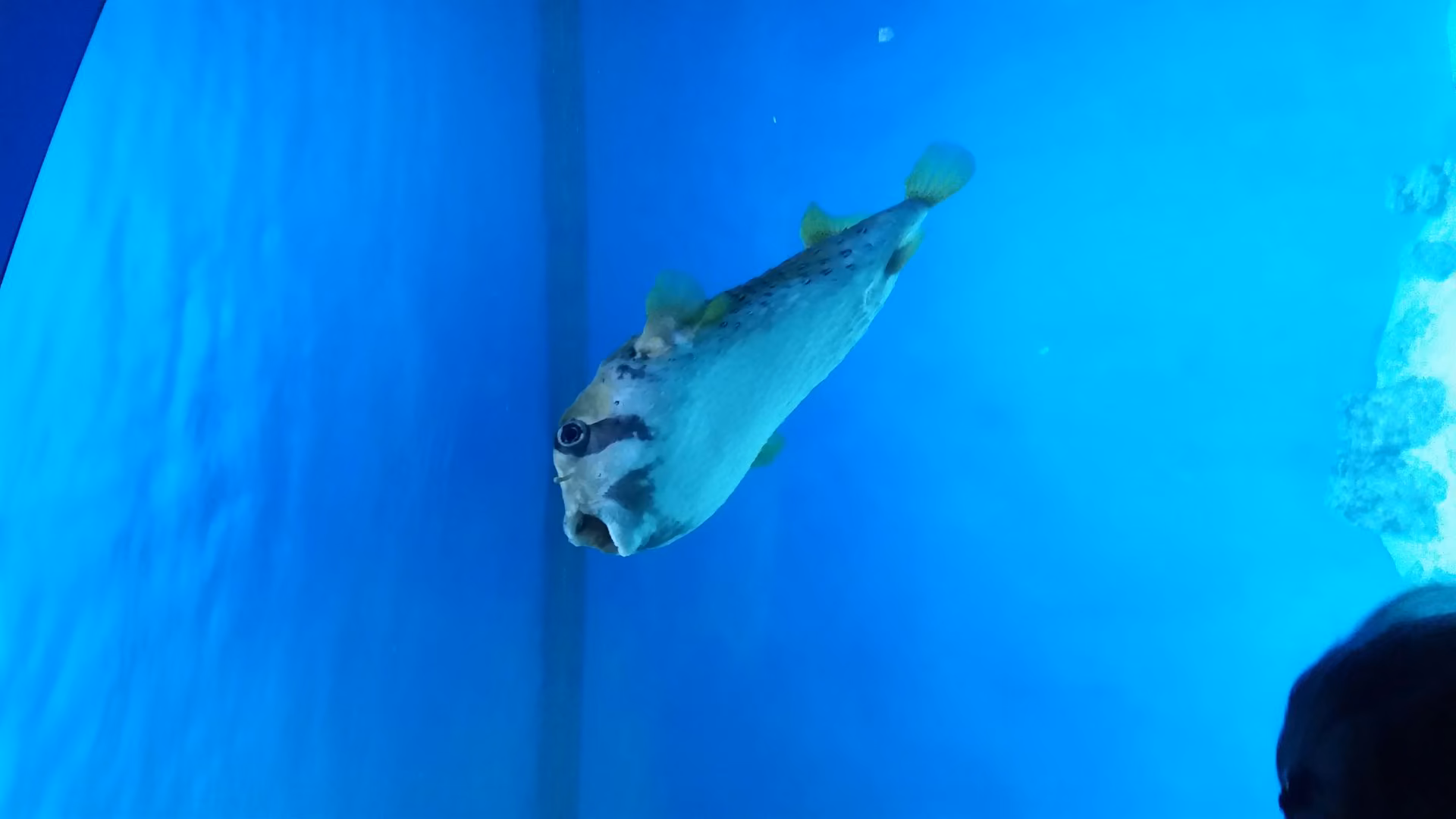 c0bda1278326c89d0e59983efc1af39f.jpg