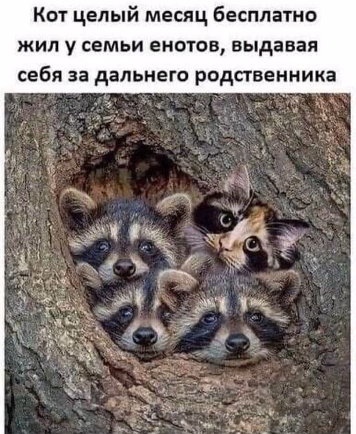 c0cee9e1dc96a0019865920e1c732223.avif