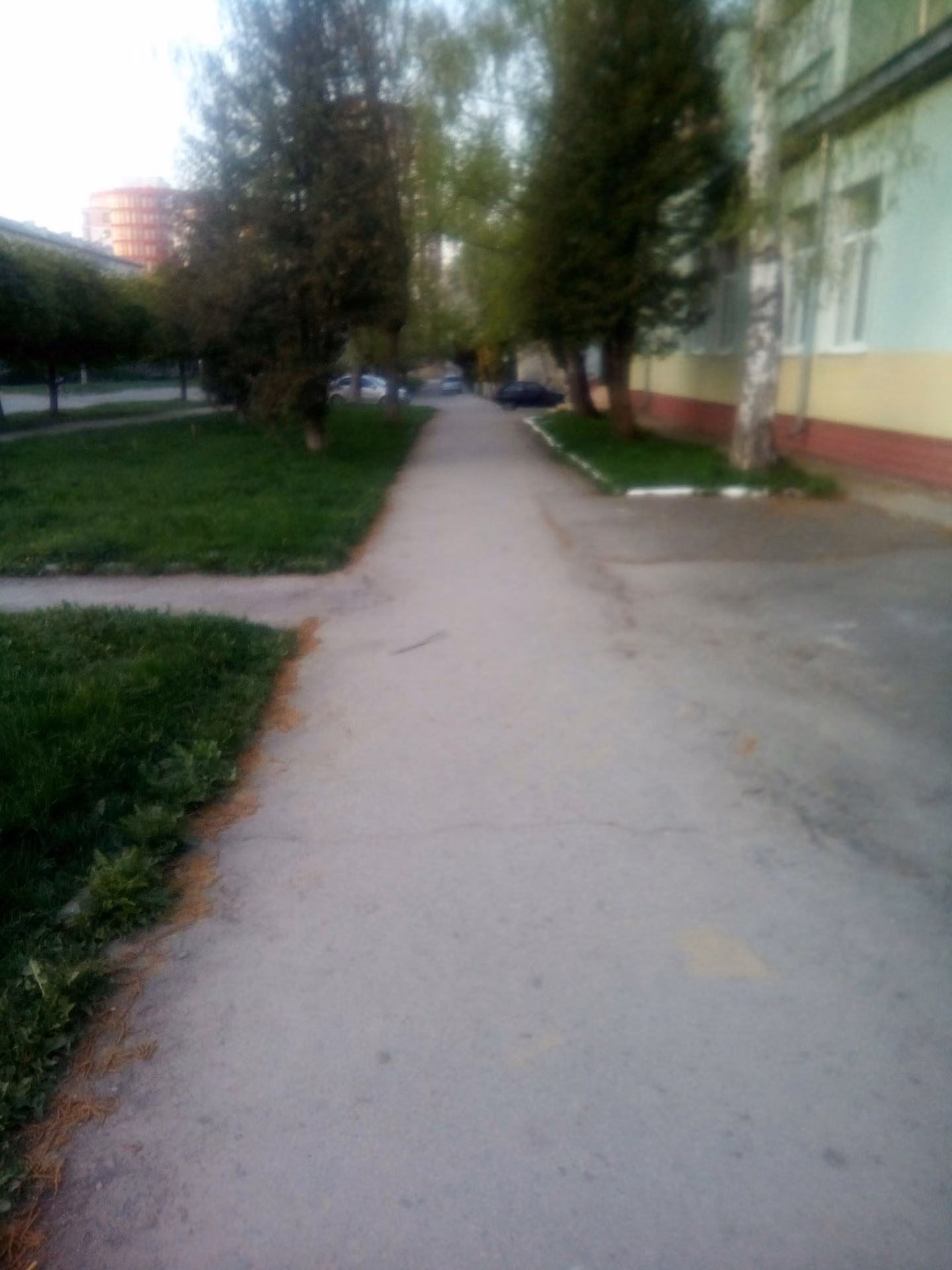 c0d320df9456f824a9653422969ff325.avif