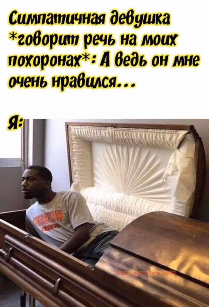 c0d823ce2bf43ee8d57a95422281253c.avif