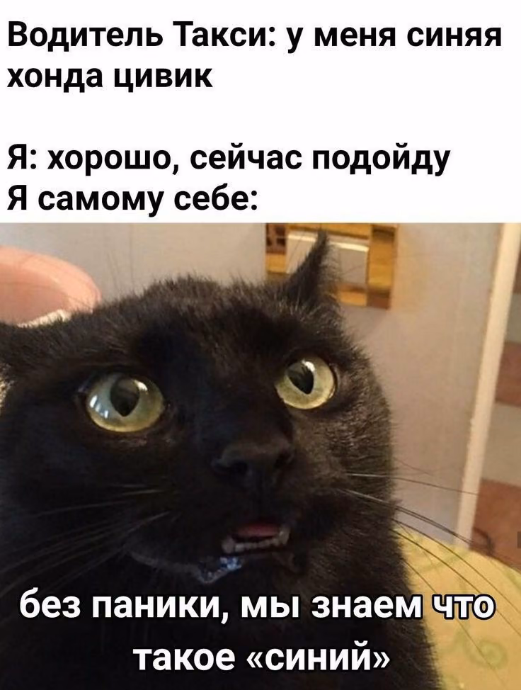 c0dd0de8411b85bc73f0f4992fa2583e.avif