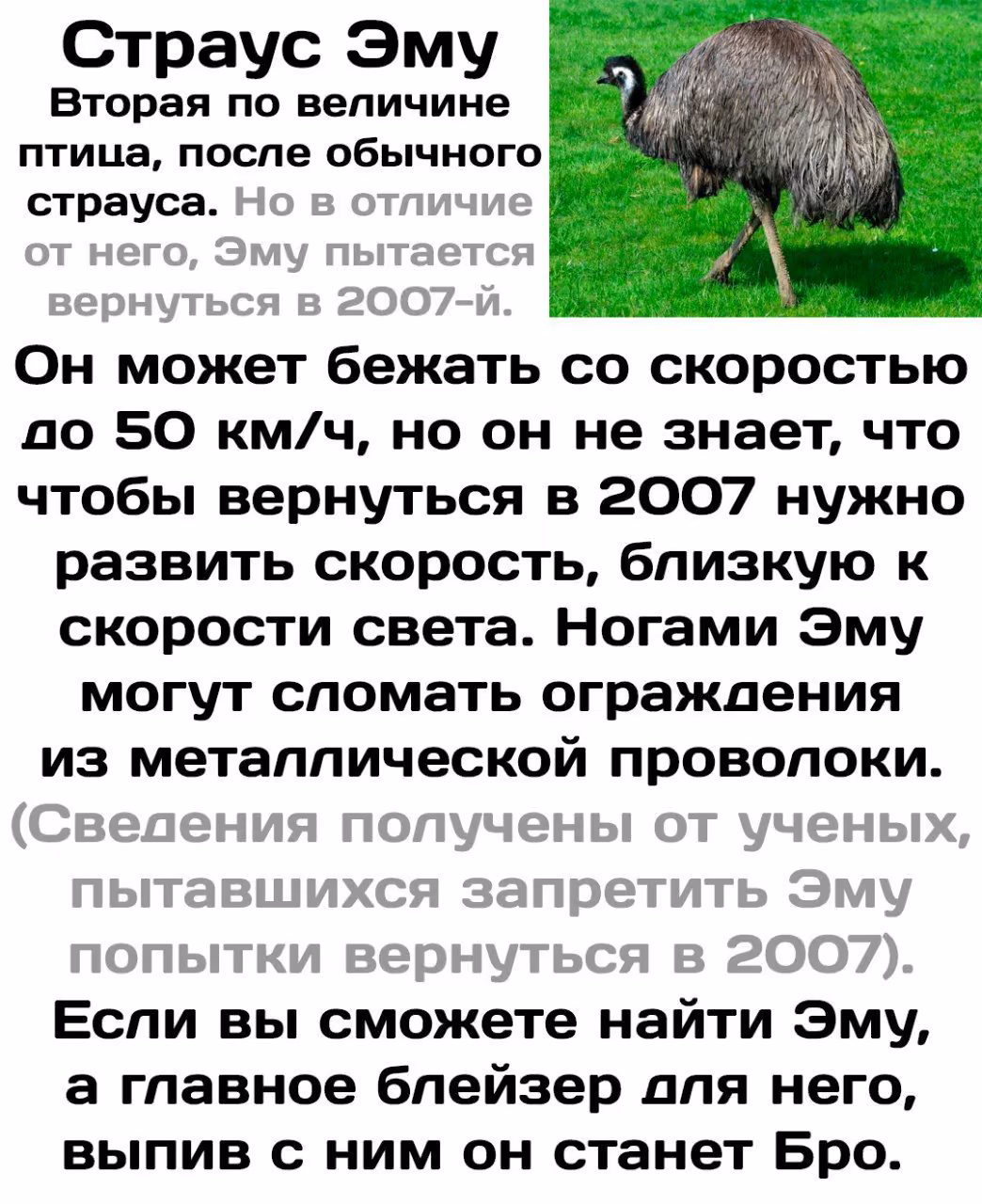 c0e7bec03ccd68f636d4c259a8139072.jpg
