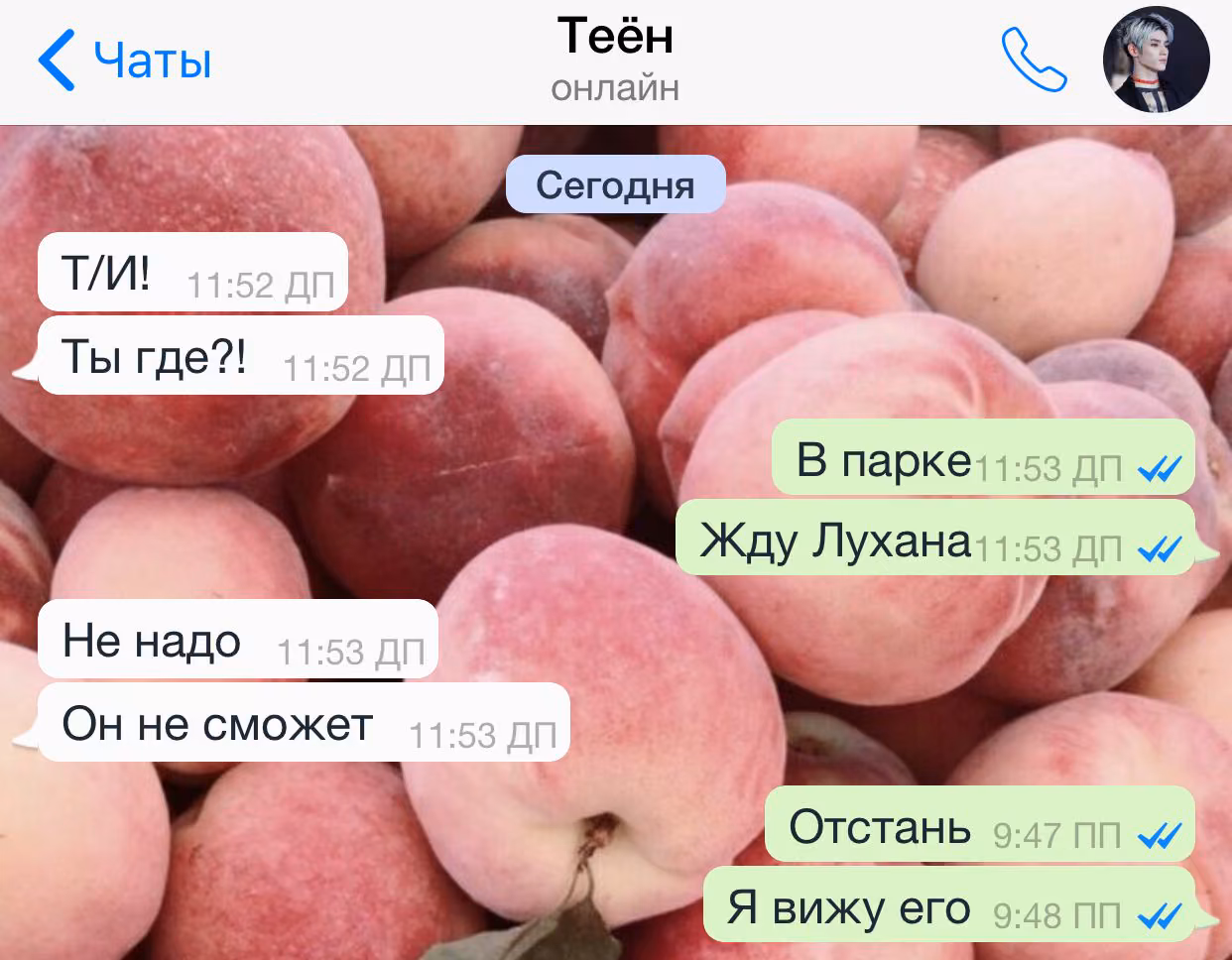c0f23d222e3a5570f089ecd5af32515a.avif